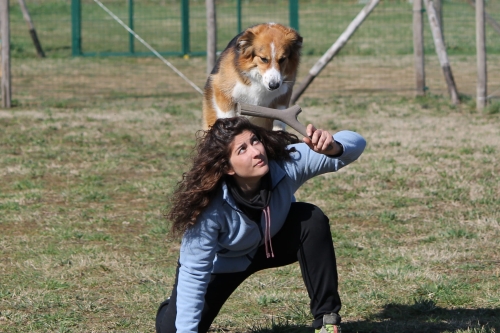 bamapet-tutto-mio2.jpg
