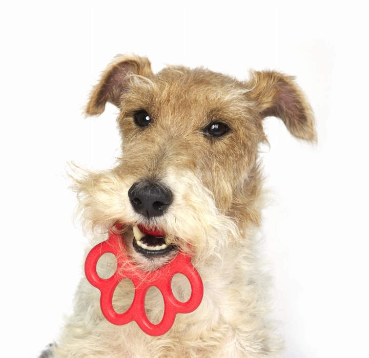 bamapet-orma-3.jpg