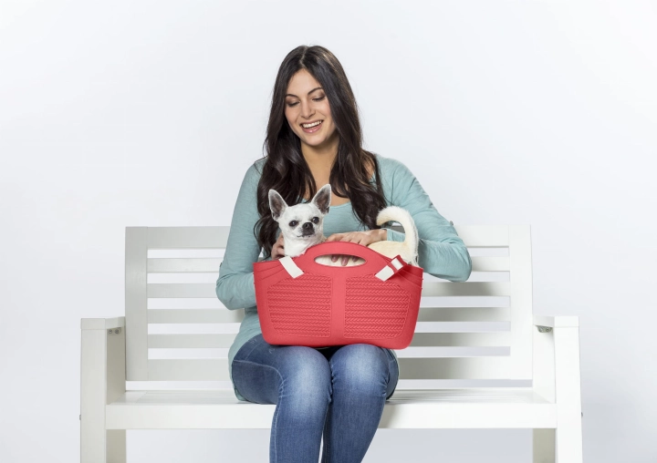 bamapet-mia-pet3.jpg