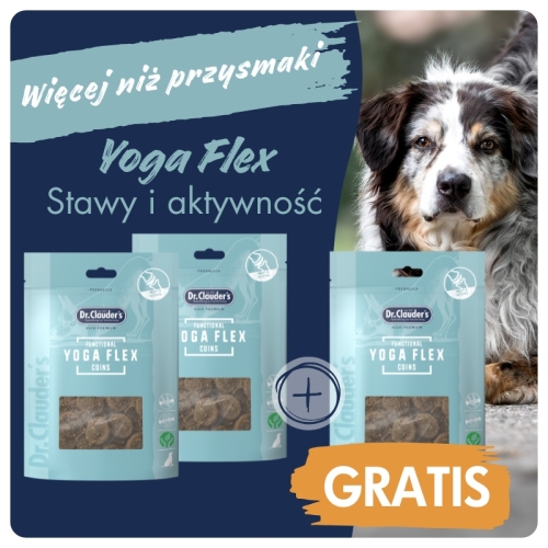 DC_FC_yoga_2plus1.jpgDr.Clauder's Functional Coins YOGA FLEX - Przysmaki funkcyjne STAWY I AKTYWNOŚĆ - 80g 2+1 GRATIS