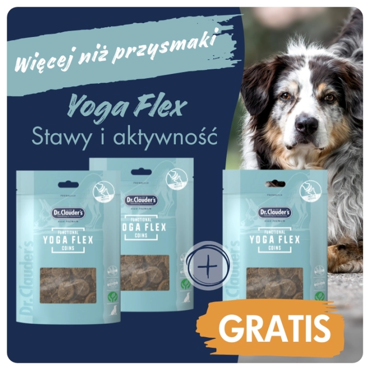 DC_FC_yoga_2plus1.jpgDr.Clauder's Functional Coins YOGA FLEX - Przysmaki funkcyjne STAWY I AKTYWNOŚĆ - 80g 2+1 GRATIS