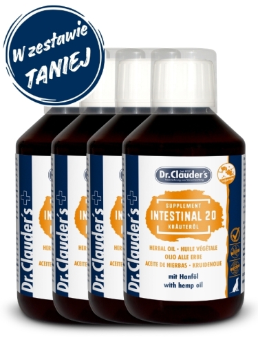 DC_intestinal_20_4x.jpg